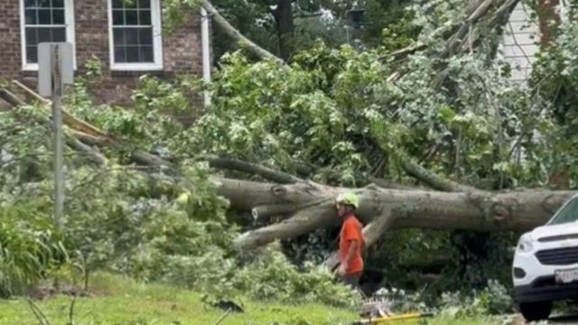 Columbia Neighborhood Hit by Isolated Damage from Wednesday's Storm and Tornadoes