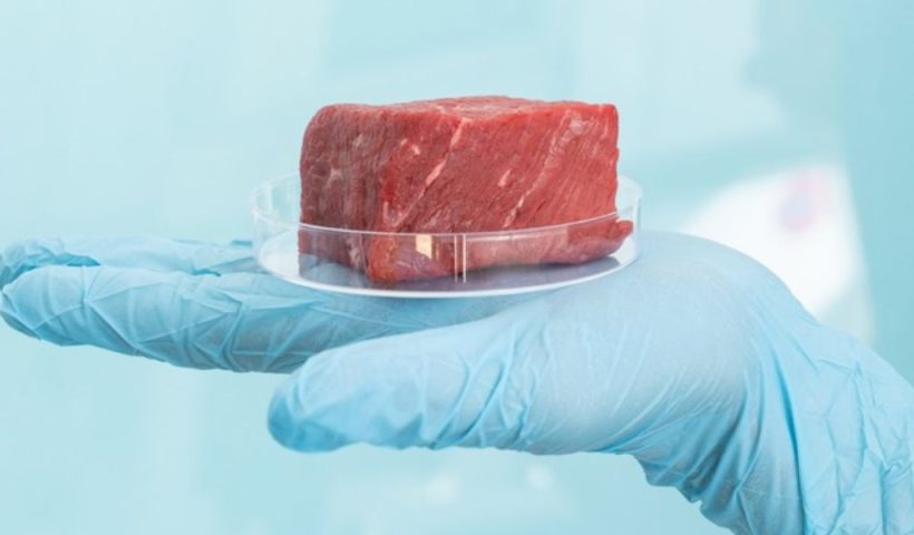 FREE TO READ - Lab-Grown Meat Faces Bans in Some States Ahead of Market Debut, What Is The Reason, Actually!