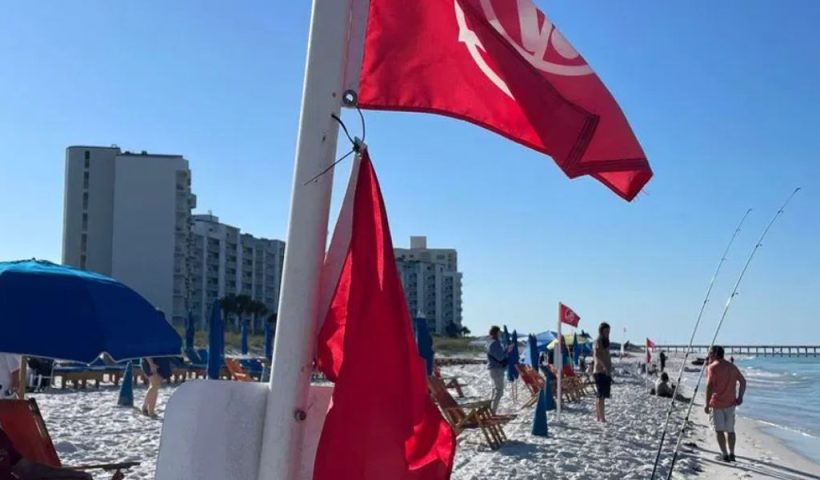 Florida Sheriff's Office Reports Deaths of Three Rescued Alabama Swimmers