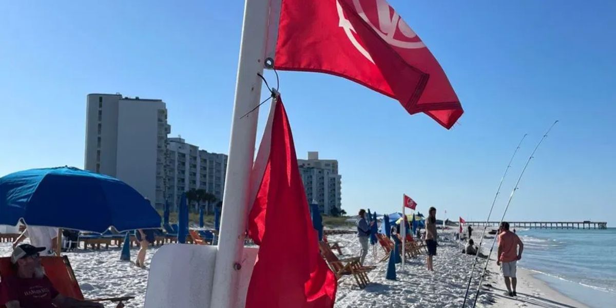 Florida Sheriff's Office Reports Deaths of Three Rescued Alabama Swimmers