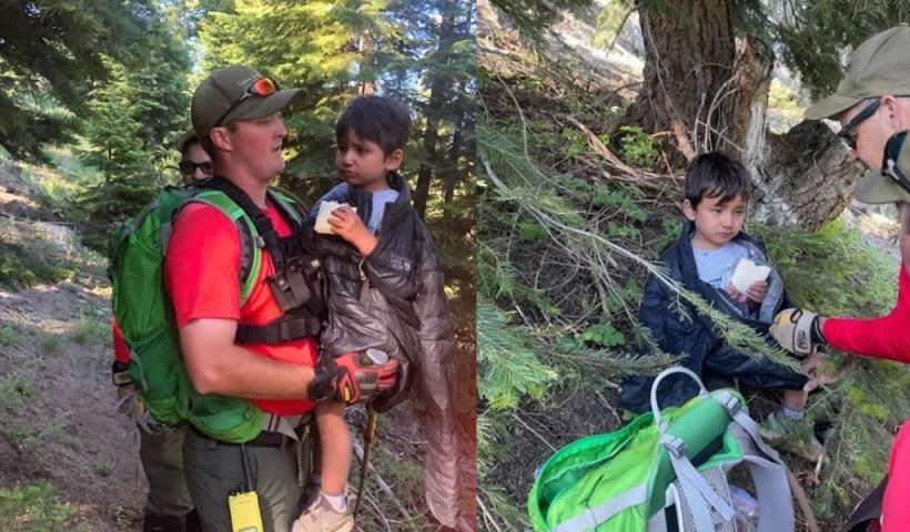 Miraculous Rescue Missing 4-Year-Old Survives Night in Southern California Wilderness