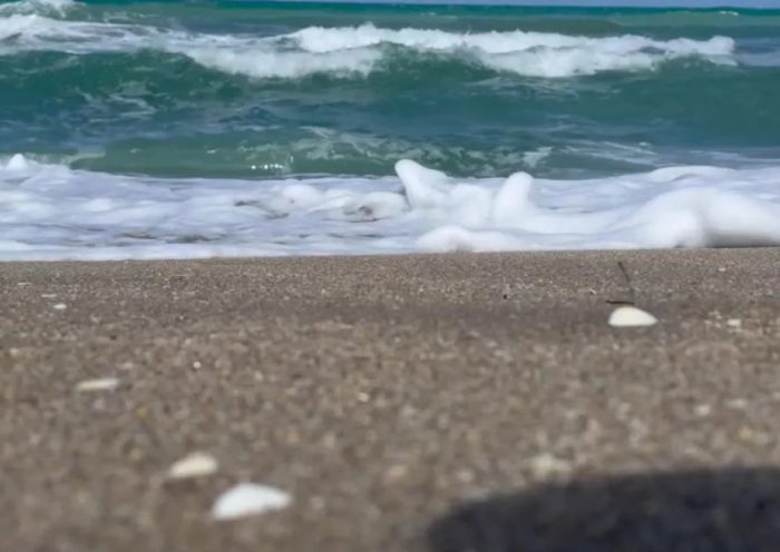 New Tragic Toll Missouri Woman Becomes Fifth Victim of Florida Beach Riptides