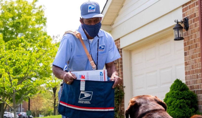 USPS Dog Bite Rankings Highlight Arizona's Incidents, What Trends Are