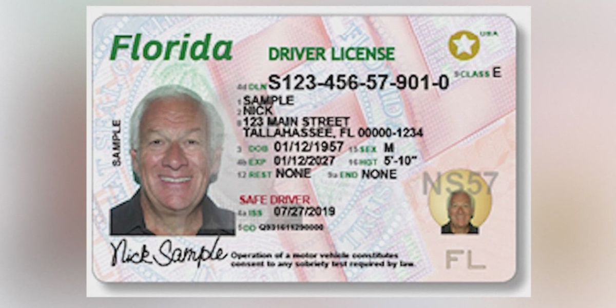 Florida to Issue New Driver's License Numbers for Enhanced Fraud Prevention