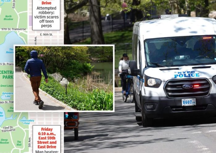 Group Robbery in Central Park Leaves Two Men Stripped of Belongings, Where And When Happened