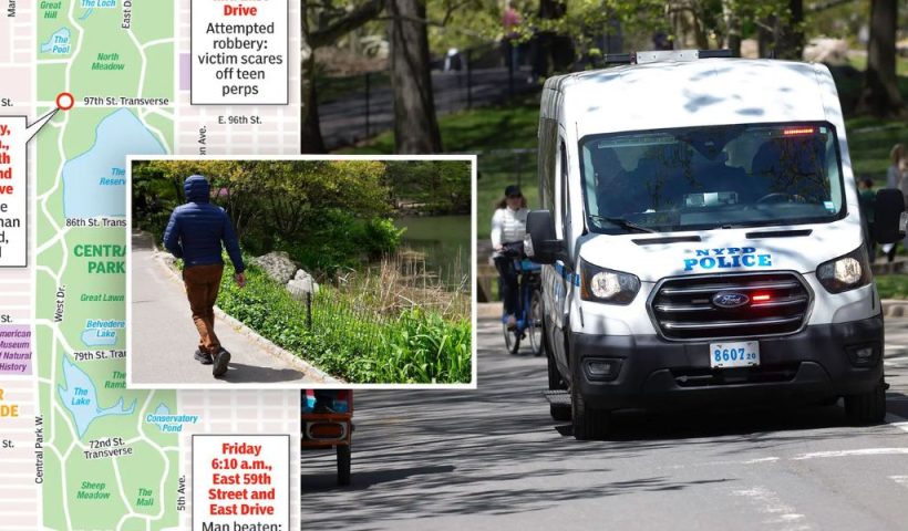 Group Robbery in Central Park Leaves Two Men Stripped of Belongings, Where And When Happened