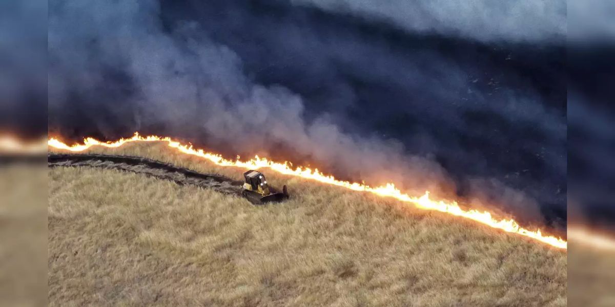 Study Represent! California Sees Thousands of Premature Deaths Each Year Due to Wildfire Smoke