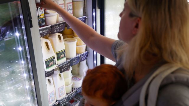 Tampa Bay's Raw Milk Market Under Scrutiny as Scientists Raise Bird Flu Alarms