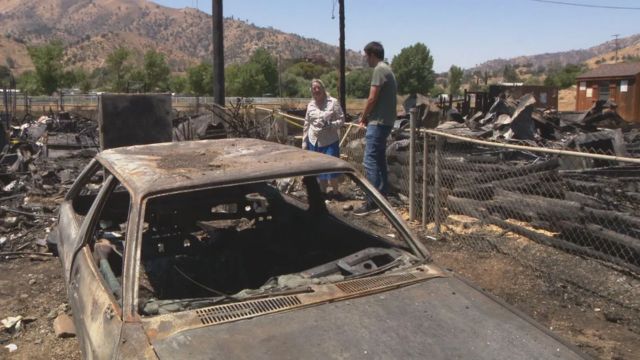 Tragic Fire at Lake Isabella Kills 16 Dogs, Ruins Homes, and Forces Family to Flee Their Homes