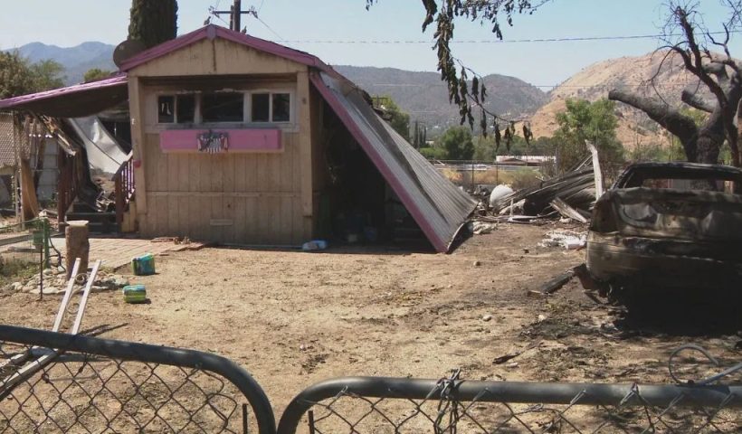 Tragic Fire at Lake Isabella Kills 16 Dogs, Ruins Homes, and Forces Family to Flee Their Homes