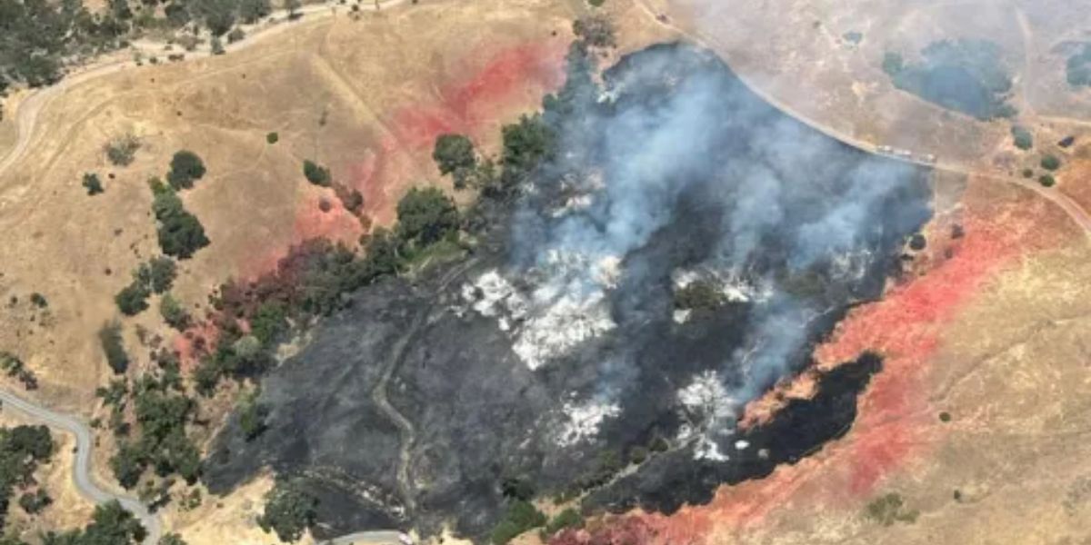 Two Individuals Arrested for Involvement in Separate California Wildfires