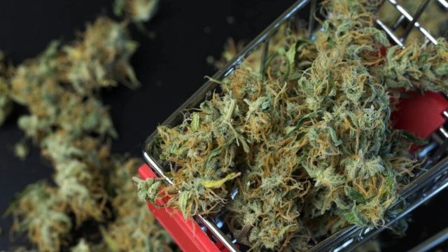 Ohio Sees Higher-Than-Expected Sales for Recreational Marijuana in Initial Week