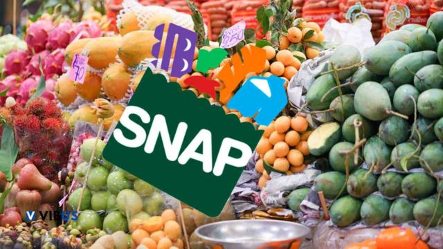 Texas SNAP Payments Eligible Families Can Access Up to $1,751 in Food Stamps