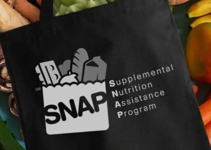 Texas SNAP Payments Eligible Families Can Access Up to $1,751 in Food Stamps