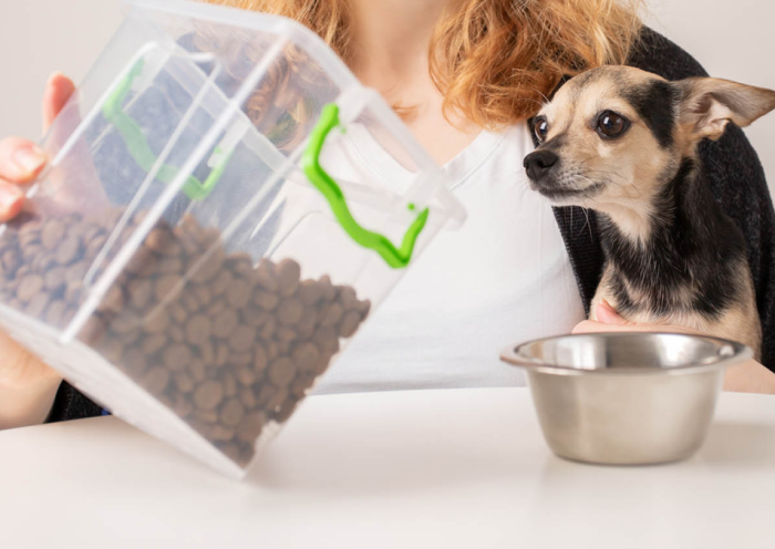 Understanding Florida's New Pet Feeder Law: A Must-Read for Pet Owners