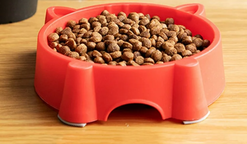 Understanding Utah's New Pet Feeder Law: A Must-Read for Pet Owners