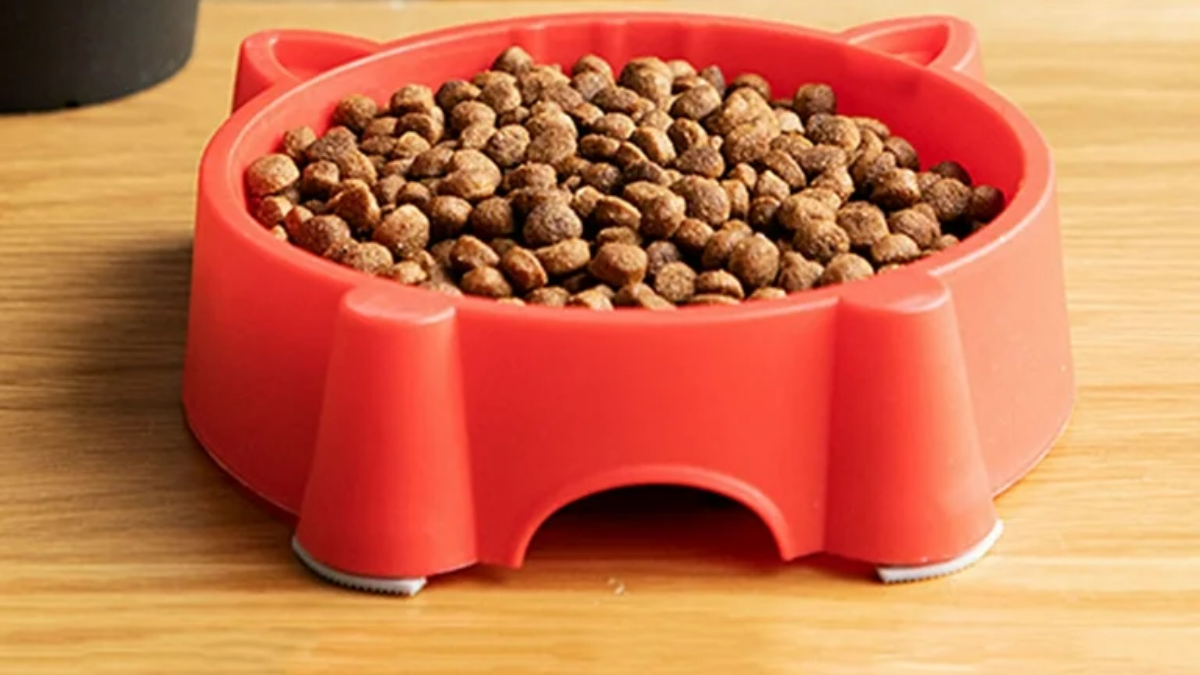 Understanding Utah's New Pet Feeder Law: A Must-Read for Pet Owners