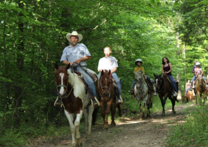 Grandfather’s Love for Horses Brings Community Together in Southern Indiana