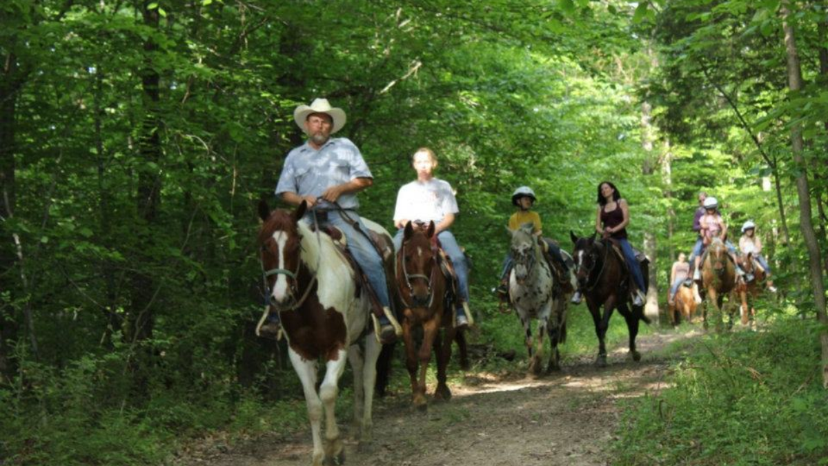 Grandfather’s Love for Horses Brings Community Together in Southern Indiana