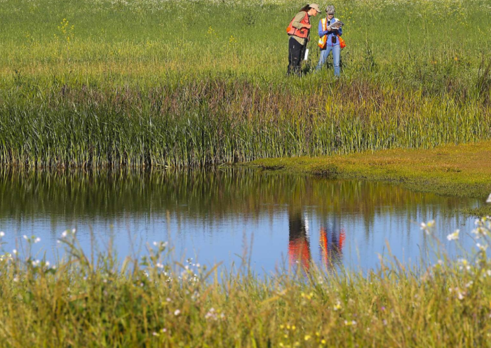 Environmental Concerns Rise as South Dakota Wetlands Lose Federal Protections