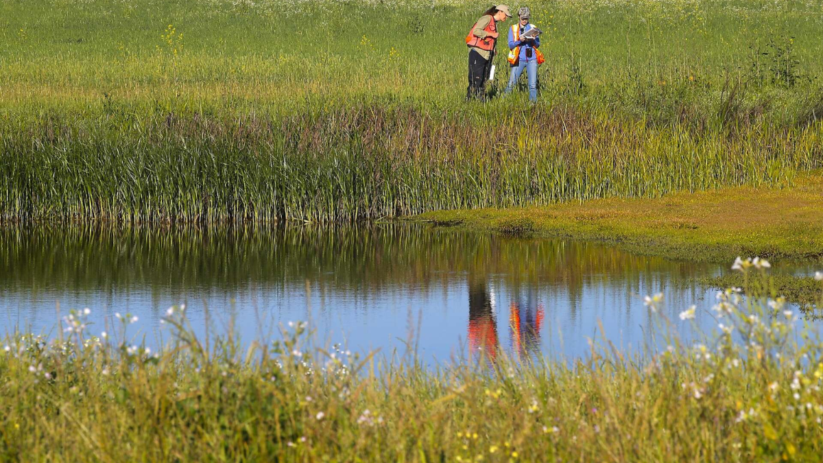 Environmental Concerns Rise as South Dakota Wetlands Lose Federal Protections