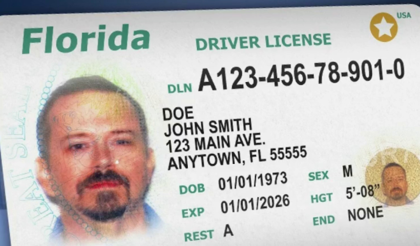 Driver’s License Renewals in Florida: Latest Requirements and Rules for Drivers