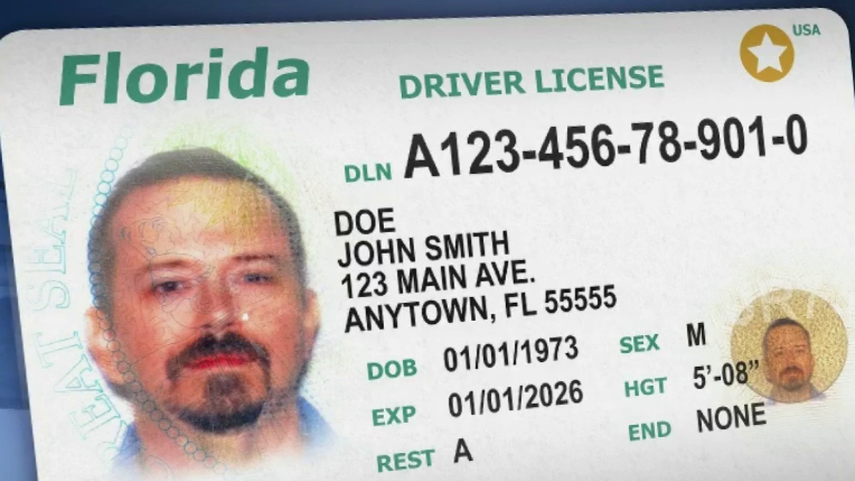 Driver’s License Renewals in Florida: Latest Requirements and Rules for Drivers