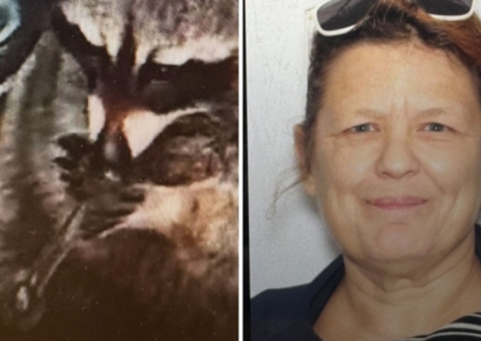 Woman Faces Charges After Cops Find Pet Raccoon and Drug Paraphernalia in Vehicle