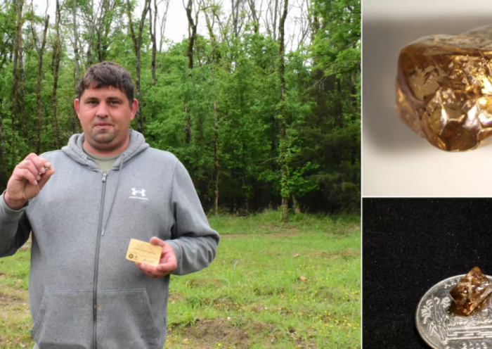 Candy Wrapper or Diamond? Hunter’s Sweet Surprise Leads to Massive Find
