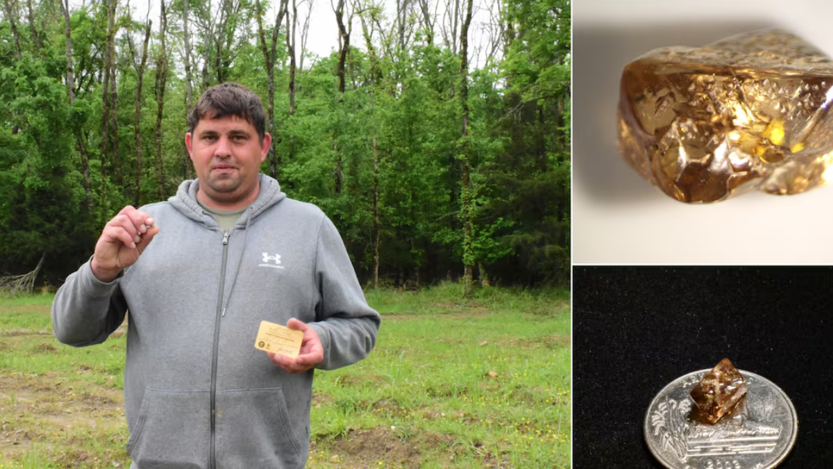 Candy Wrapper or Diamond? Hunter’s Sweet Surprise Leads to Massive Find