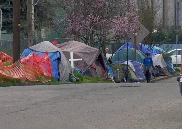 Vancouver Struggles to Fund Homeless Camp Removals Amid Fiscal Shortfall