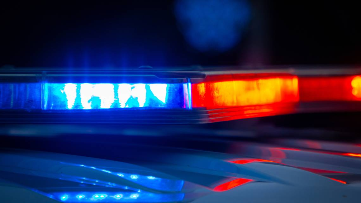 California Couple Arrested for Allegedly Confronting Federal Immigration Agents