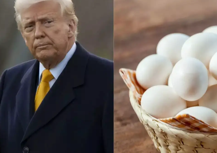 Egg Price Decline Reflects Complex Interplay of Factors Beyond Politics