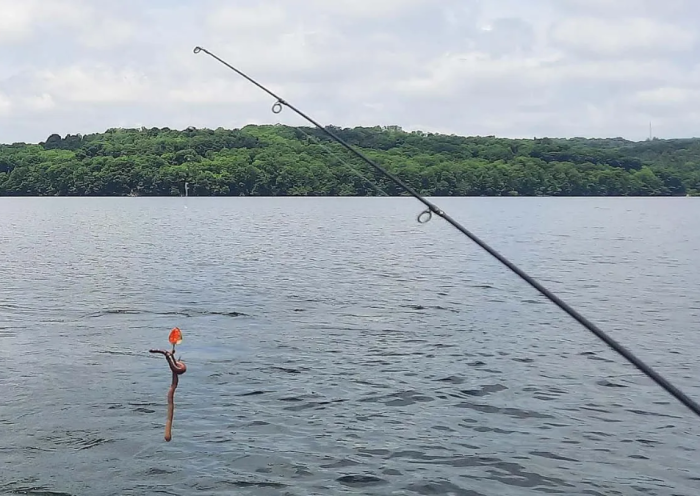 No License Needed: Fish for Free in Pennsylvania on These Two 2025 Dates